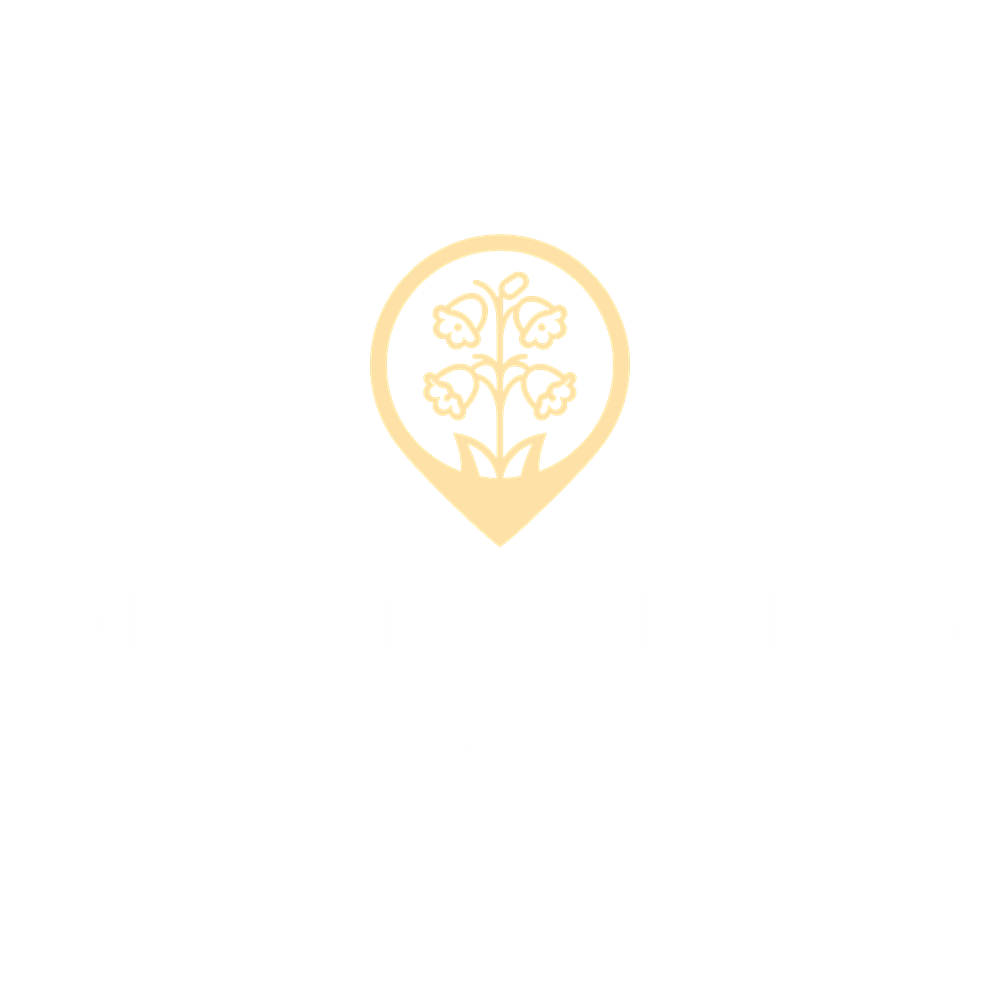 First Spring logo